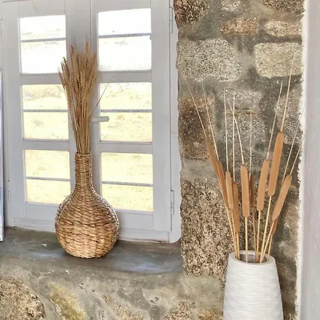 Naira Family Mykonos *