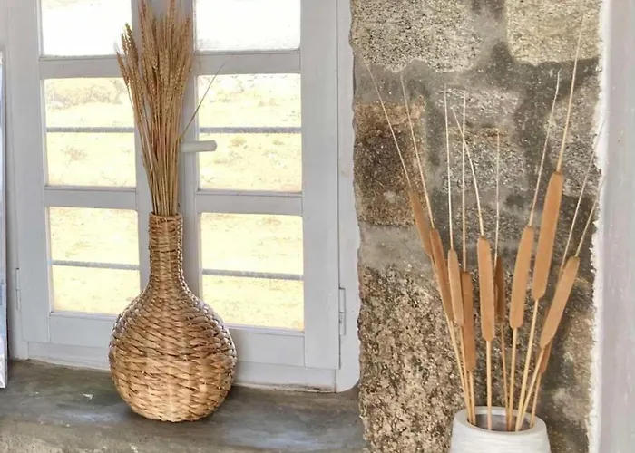 Naira Family Mykonos *