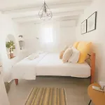 Naira Family Mykonos Holiday home Plintri