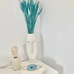 Naira Family Mykonos Tatil Evi *