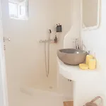 Naira Family Mykonos Tatil Evi Plintri