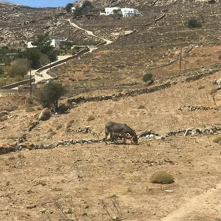 Naira Family Mykonos Holiday home