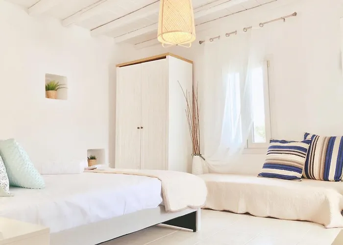 Naira Family Mykonos Plintri