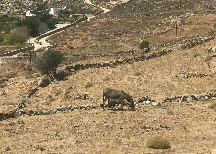 Naira Family Mykonos בית נופש