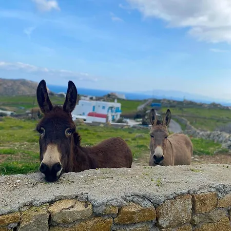 Naira Family Mykonos