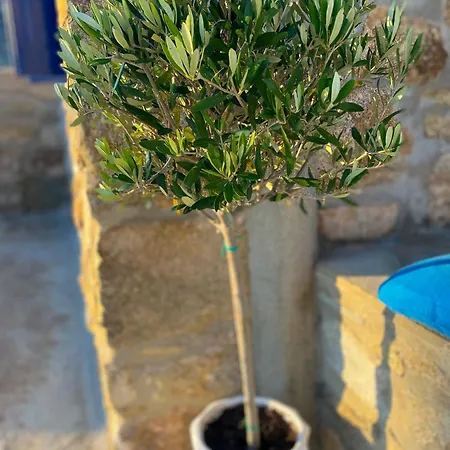 펜션 Naira Family Mykonos